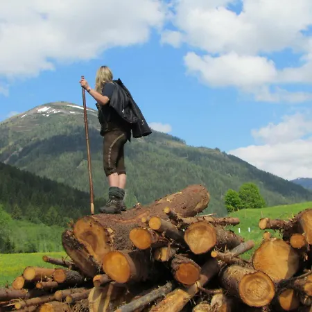 Nyaraló Almland Huette