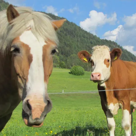 Almland Huette * Pusterwald