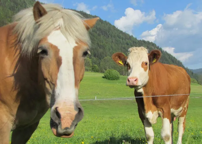 Almland Huette * Pusterwald