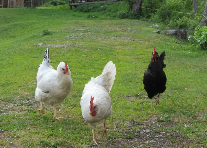 Casa vacanze Almland Huette